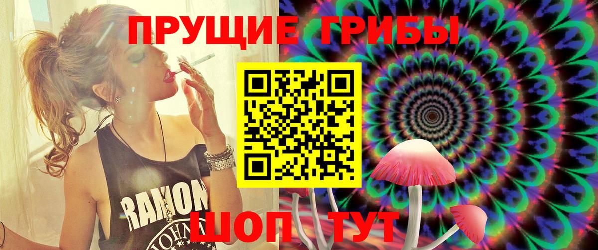 Галлюциногенные грибы GOLDEN TEACHER  Вход с VPN  Галлюциногенные грибы мицелий  Славгород 