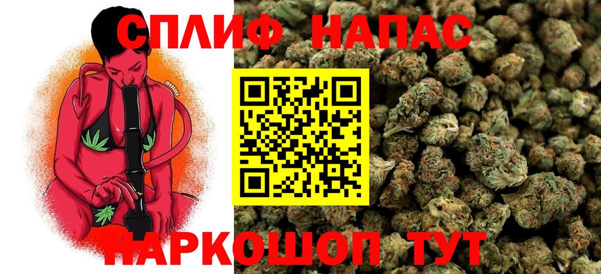 МАРИХУАНА план Славгород
